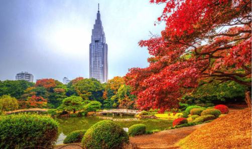 Shinjuku Gyoen — caminhada matinal
