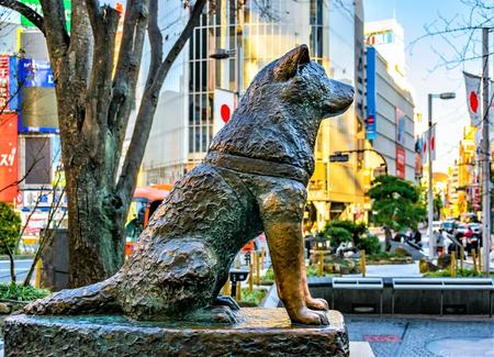 Hachiko e o cruzamento ao anoitecer
