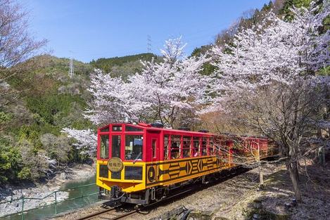 Sagano Romantic Train (opcional)